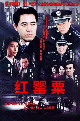 范秀明导演电视剧红罂粟