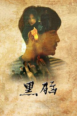 张云飞导演电视剧黑脑