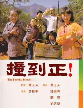许鞍华导演电视剧撞到正