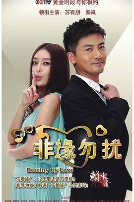 赖水清导演电视剧非缘勿扰