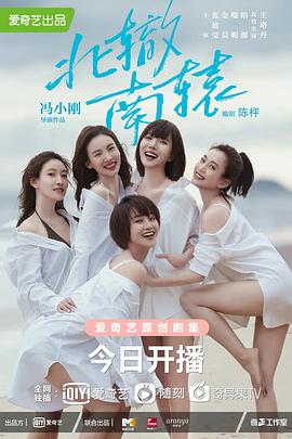 冯小刚导演电视剧北辙南辕