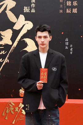 杨振导演电视剧步步笙欢