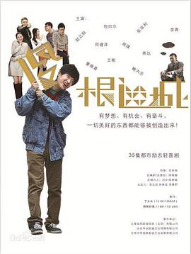 张轩南导演电视剧傻根进城