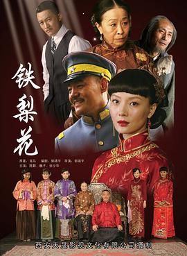 郭靖宇导演电视剧铁梨花