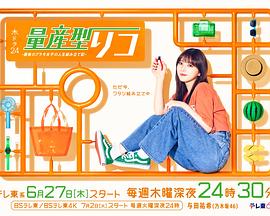 中川和博导演电视剧量产型璃子-最后的模型女子的人生组装记-