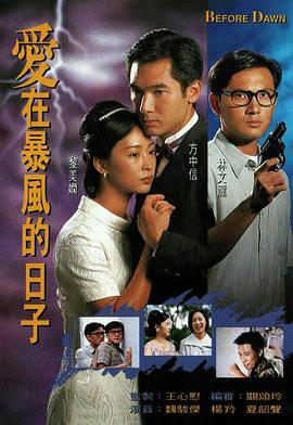 曾丽珍新电视剧爱在暴风的日子粤语