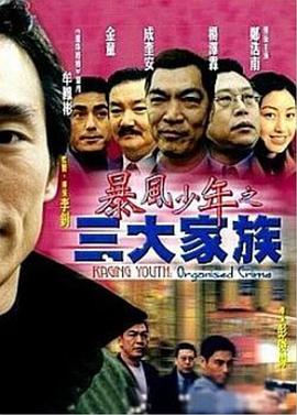李钊导演电视剧暴风少年之三大家族