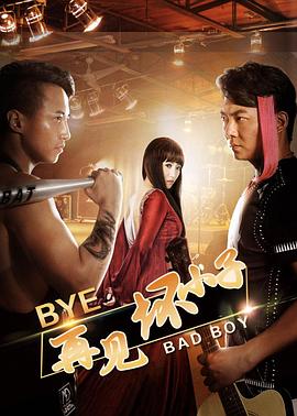 何龙导演电视剧再见坏小子