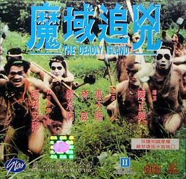 陈正兴导演电影魔域追凶