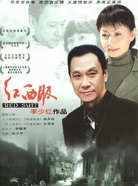 李少红导演电视剧红西服