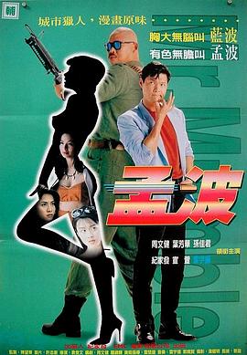 袁俊文导演电视剧孟波
