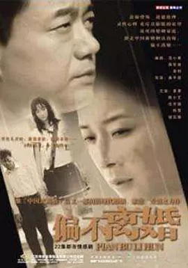 秦平原导演电视剧婚姻的敌人