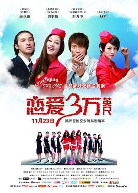 杨子导演电视剧恋爱三万英尺