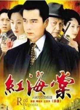 侯明杰导演电视剧红海棠