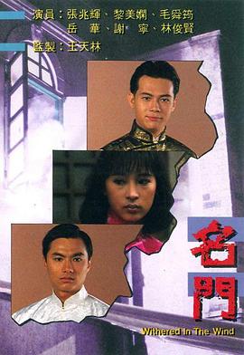 王天林导演电视剧名门国语