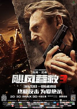 奥利维尔·米加顿导演电影飓风营救3